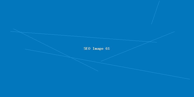全网SEO优化