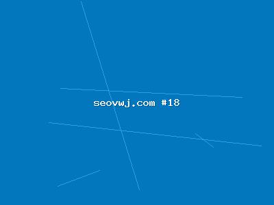SEO整站策略深度解析：如何打造高效的百度整站SEO方案？