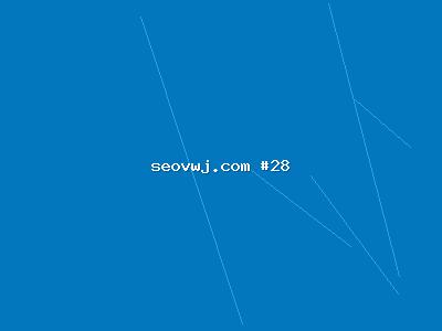 全网SEO优化的核心价值：为企业带来精准整站SEO服务流量